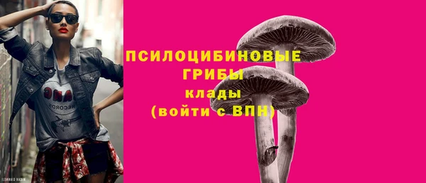 ешки Абдулино