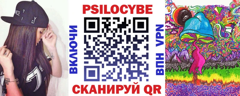 OMG как войти  купить наркотики цена  Талдом  Псилоцибиновые грибы Cubensis 